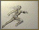 Plaster Anatomy