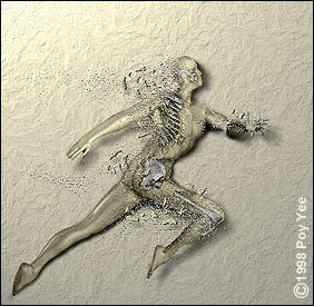 plaster anatomy