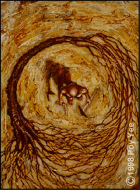 backroots