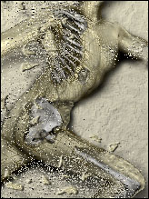 close up of image