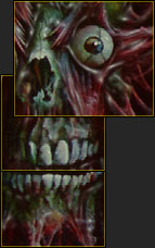 closeup of image