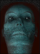 close up of image