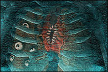 close up of image